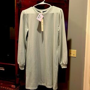 Sweat shirt dress sage green never worn!